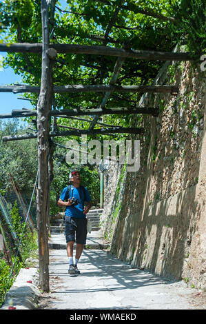 Costiera Amalfitana (Salerno) : il limone il percorso . Foto Stock