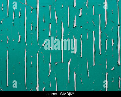Peeling vernice, linee verticali. Sfondo. Foto Stock