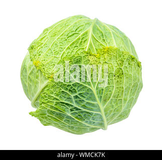 Verde cavolo verza tagliati su sfondo bianco Foto Stock