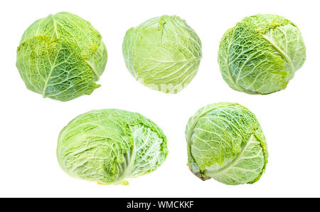 Varie freschi Cavoli savoy ritagliata su sfondo bianco Foto Stock