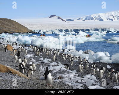 Adelie pinguini su paesaggi innevati contro Sky