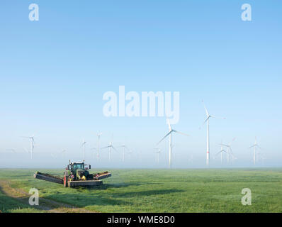 L'agricoltore in erba mows vicino a turbina eolica in fattoria oastfriesland su nebbiosa mattina d'estate Foto Stock