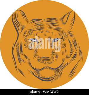 Illustrazione di linea di un testa di tiger, adatto come tattoo, squadra mascotte, simbolo per zoo o animale centro di conservazione Illustrazione Vettoriale