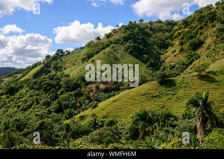 Paesaggio vicino Pedro Sanchez Cordillera Oriental, Repubblica Dominicana, Caraibi, America Foto Stock