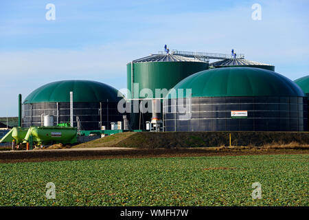 Impianto di produzione di biogas, Solschen, distretto di Peine, della Bassa Sassonia Foto Stock