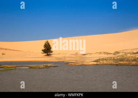 Le dune di sabbia vicino a Phan Rang, Ninh Thuan, Vietnam Asia Foto Stock