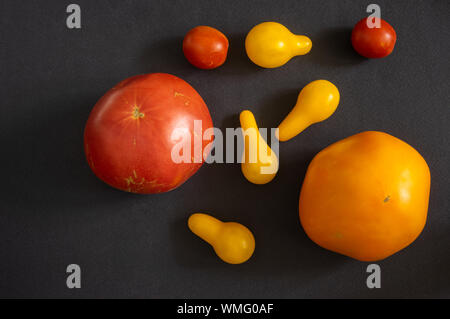 Vista dall'alto su diversi tipi di pomodori organici giacenti su uno sfondo nero Foto Stock