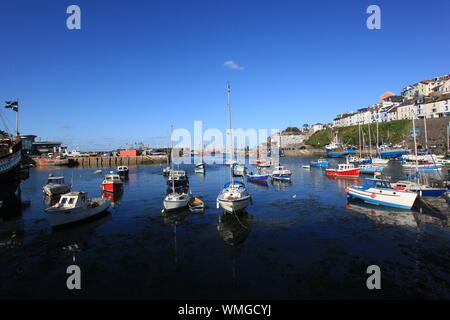 Viaggio, di trasporto e stile di vita - Vista Panoramica di yacht e barche a vela ormeggiata lungo la Riviera Inglese a Brixham Harbour, Devon. Foto Stock