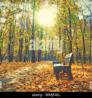 Autunno park - Banco di colore giallo e di alberi di acero. Paesaggio autunnale Foto Stock
