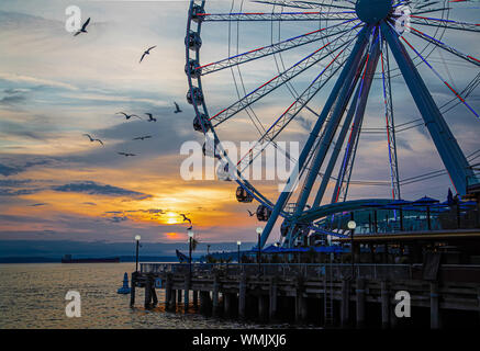 Ruota panoramica sulla costa di Seattle al tramonto con gli uccelli Foto Stock