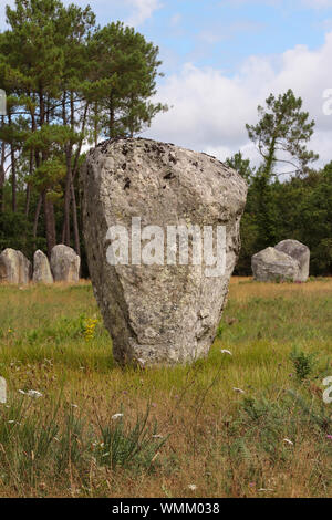 I menhir della Alignements di Kerlescan, filari di pietre permanente, il più grande sito megalitico nel mondo, Carnac, Brittany, Francia Foto Stock