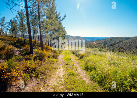 Paesaggio di montagna. Strada sterrata nella Serra da Estrela parco naturale, Portogallo Foto Stock