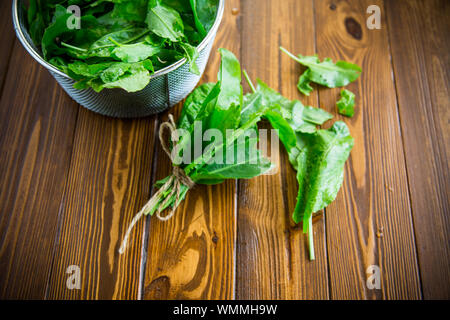 Mazzetto di organico fresco verde sorrel, su un tavolo. Foto Stock