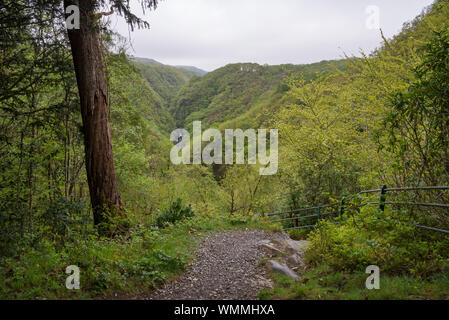 Ponte del diavolo scende, il Galles. Un ben noto attrazione turistica vicino a Aberystwyth in Galles centrale. Foto Stock