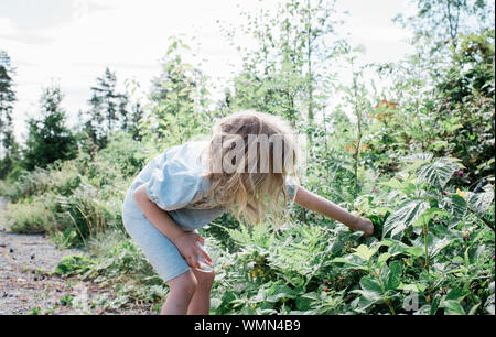 Ragazza giovane la raccolta di frutti da cespugli selvatici in giardino Foto Stock