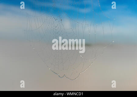 Una chiusura all'inizio Rugiada di mattina su una spider web, con una nebbia copriva valle dietro di esso. Foto Stock