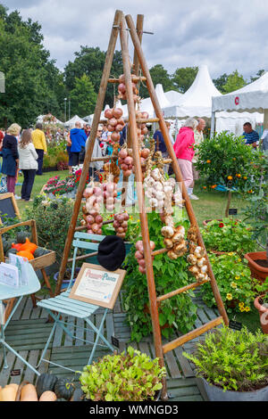 Si spegne e il display di cipolle e aglio chiodi di garofano a settembre 2019 Wisley Garden Flower Show al giardino RHS Wisley, Surrey, sud-est Inghilterra Foto Stock