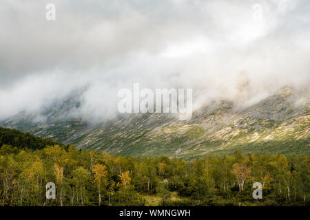 Bella vista dei monti Khibiny nella nebbia in estate Foto Stock