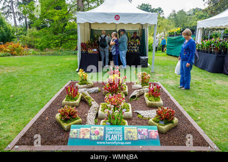 Visualizzazione delle piante carnivore al settembre 2019 Wisley Garden Flower Show al giardino RHS Wisley, Surrey, sud-est Inghilterra Foto Stock