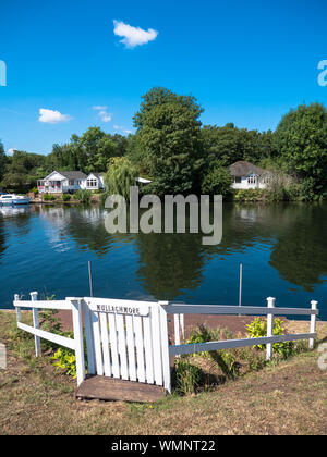 Bellissimo Fiume Tamigi, estate, Laleham Staines Surrey, Inghilterra, Regno Unito, GB. Foto Stock