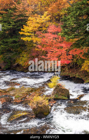Autumn Fall foresta con acqua di ruscello di Ryuzu cade con lago Chezenji in background, Nikko Tochigi in Giappone Foto Stock