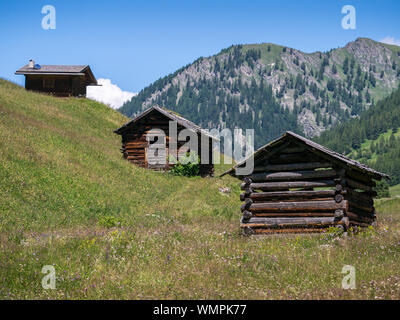 Granai su un prato alpino a Tschey Prati, Pfunds, Superiore Valle Inn, Tirolo, Austria Foto Stock