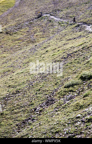 Il Col du Coin 2398m Foto Stock