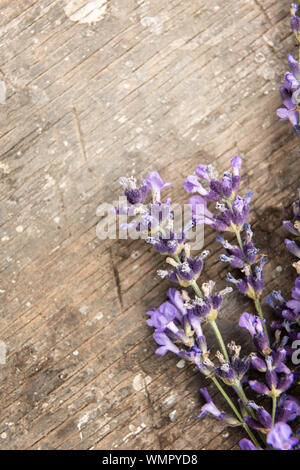 Chiusura del mazzetto di belli freschi di fiori di lavanda sulla vecchia superficie ruvida naturale superficie di legno. Consente di visualizzare direttamente dall'alto. Messa a fuoco selettiva. V Foto Stock