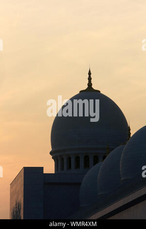 Mosquée Sheikh Zayed. 1995. Abou Dhabi. / Moschea Sheikh Zayed. 1995. Emirato di Abu Dhabi. Foto Stock