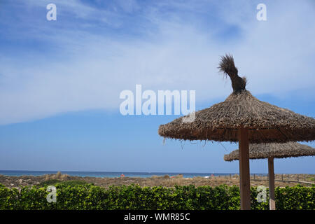 Foglia di palma ombrelloni di paglia contro un Cielo di estate blu e azzurro del mare Foto Stock