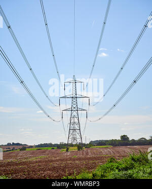 Piloni portanti ad alta tensione alta tensione cavi di energia elettrica come parte dell'infrastruttura nazionale di tutta la contea del Lincolnshire paesaggio di campagna Foto Stock