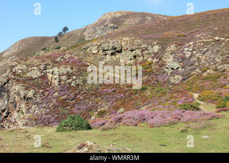 Penmaenmawr, il Galles del Nord. Regno Unito Foto Stock