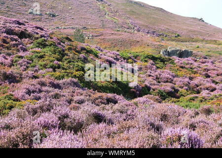 Penmaenmawr, il Galles del Nord. Regno Unito Foto Stock