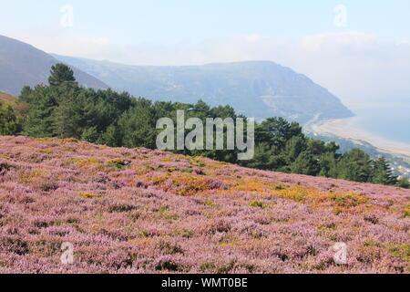 Penmaenmawr, il Galles del Nord. Regno Unito Foto Stock