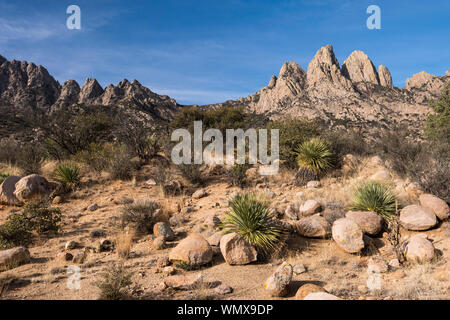 Montagne Organ deserto picchi monumento nazionale, Nuovo Messico. Foto Stock