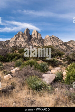 Montagne Organ deserto picchi monumento nazionale, Nuovo Messico. Foto Stock