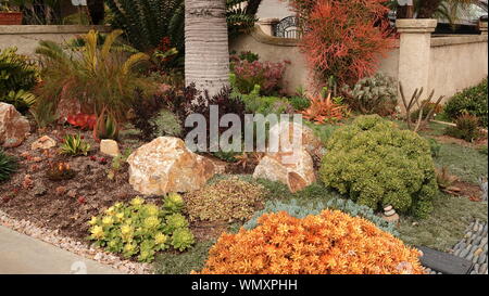 Distanza media di ben fatto tollera la siccità paesaggistica in un cortile anteriore in California Foto Stock