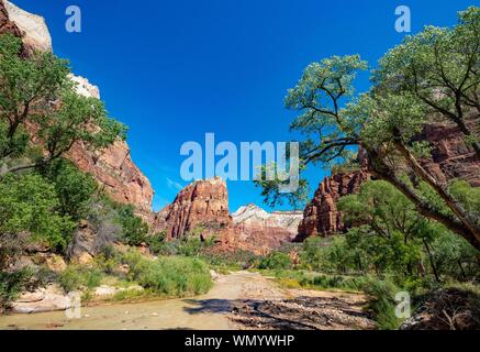 Vista di angeli lo sbarco, fiume fiume vergine fluente attraverso Zion Canyon Zion National Park, Utah, Stati Uniti d'America Foto Stock