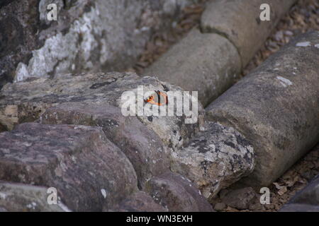 Tintern Abbey muratura in pietra Foto Stock