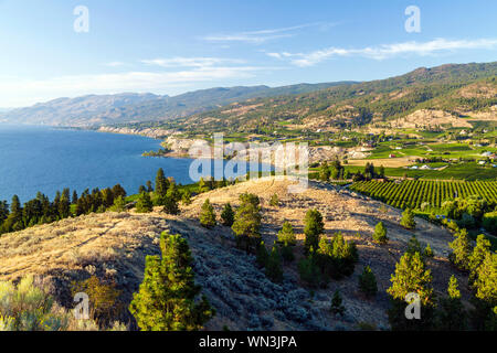 Vista del banco Naramata da Munson in montagna la Valle di Okanagan città di Penticton, British Columbia, Canada. Foto Stock