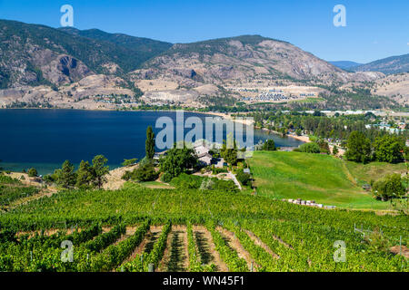 Vista di una cantina Vigna affacciato sul Lago Skaha nella Okanagan Valley, Penticton, British Columbia, Canada Foto Stock