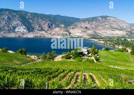 Vista di una cantina Vigna affacciato sul Lago Skaha nella Okanagan Valley, Penticton, British Columbia, Canada Foto Stock