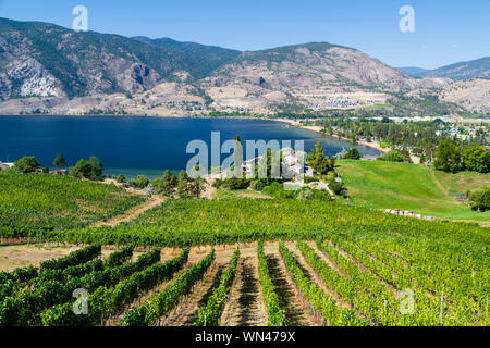 Vista di una cantina Vigna affacciato sul Lago Skaha nella Okanagan Valley, Penticton, British Columbia, Canada Foto Stock