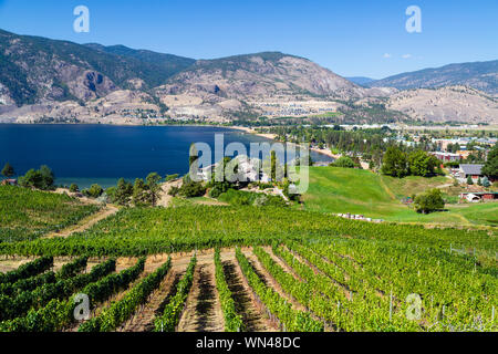 Vista di una cantina Vigna affacciato sul Lago Skaha nella Okanagan Valley, Penticton, British Columbia, Canada Foto Stock