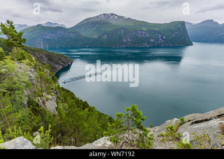 Fattoria di Pesce nel fiordo Storfjorden in Stranda, More og Romsdal, Norvegia Foto Stock