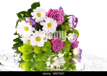 Bouquet di rose rosa fiori, bianchi crisantemi, dasies, foglie verdi su specchio con fuoriuscita di gocce di acqua isolato di sfondo vicino, spase di copia Foto Stock