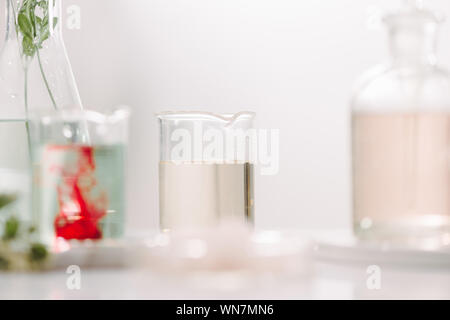 Composizione con oli essenziali e fiori sul tavolo Foto Stock