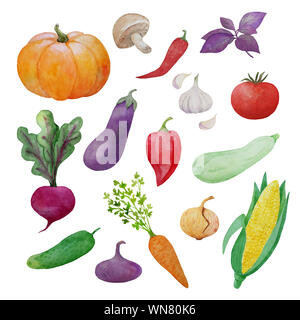Dipinto a mano Collezione acquerelli di freschi ortaggi maturi, cibo elementi isolati su sfondo bianco Foto Stock