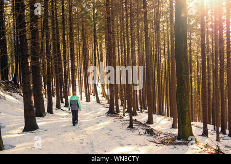 Redhead woman hiking attraverso un paesaggio invernale nella foresta vicino a Zell am See - Pettenfirst, Austria Foto Stock