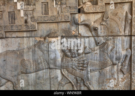 Rilievo sulla scalinata del Palazzo Apadana, Persepolis, il cerimoniale di capitale dell impero Achemenide, far Provincia, Iran Foto Stock